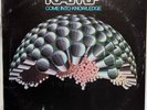 LP ?? RAMP ? come into knowledge ? 1977 ?? 12