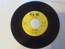 45 rpm vinyl record - THE OCEANS - SHE'S GONE - Ohio Garage