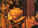 My Dying Bride 'The Thrash Of Naked Limbs' Vinyl - NEW