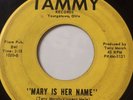 RARE OHIO DOO-WOP 45/ THE DEL RAYS 