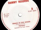HAZZARD Snake In The Grass Rammy Records EJSP 9600 7