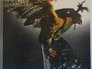 BUDGIE In For The Kill - Original UK LP - Hard Rock Heavy Prog Burke Shelley