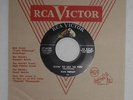 Elvis 7
