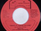 Modern Soul 45 CHOSEN FEW BAND What It Takes To Live BUFFALO'S HEAR VG++/VG+