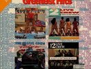 2 LIVE CREW GREATEST HITS (2LP Vinyl RE ISSUE)  (DIRTY RAP KINGS) USA PRESSING