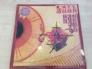 Kate Bush - The Kick Inside 1979 vinyl record LP picture disc - RARE EMC 3223