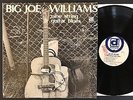 BIG JOE WILLIAMS Nine String Guitar Blues RARE PROMO LP 1972 Delmark EX/EX