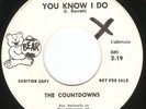 HEAR Countdowns-You Know I Do/Strange Are The Shadows '66 IA WILD PUNK+MOODY GEM