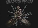 ANTICULT [LP] NEW VINYL