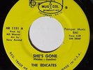 THE EDICATES She's Gone / Worried Mind 45 on Mus-I-Col Rare Ohio Garage M-