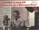SEALED FORD SNOOKS EAGLIN Possum up a simmon tree ARHOOLIE RECORDS 2014 BLUES