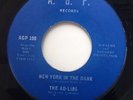 THE AD-LIBS  - NEW YORK IN THE DARK