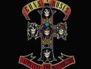 Guns N' Roses-Appetite for Destruction  Vinyl / 12
