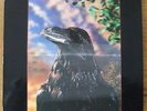THE STRANGLERS...THE RAVEN  LP  3D SLEEVE..a-1/b-1 stampers.EXCELLENT COND  PUNK