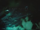 MICRONISM - INSIDE A QUIET MIND (VINYL) (2LP)