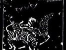 BLACK HEART PROCESSION - THREE NEW VINYL