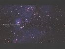 TADEO - CONTACTO NEW VINYL