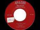 FLA. C&W RED RILEY/SUNSET DRIFTORS Teachers Pet/Tropical Waltz APACHE HEAR