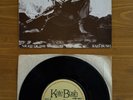 Kate Bush - Night Of The Swallow - 7