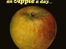 APPLE - AN APPLE A DAY... NEW VINYL RECORD