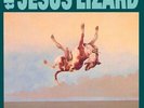 JESUS LIZARD - DOWN (REMASTER/REISSUE) NEW VINYL