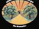 DRAMATICS-WHATCHA SEE IS WHATCHA GET  (US IMPORT)  VINYL LP NEW