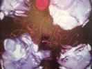 THE STRANGLERS - La Folie - 1981 Vinyl LP +Lyrics -Liberty 1st Press LBG30342 Ex