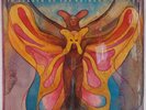 MTUME: In Search of the Rainbow Seekers EPIC Holland Import Soul Funk LP