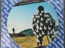 Pink Floyd   Delicate Sound Of Thunder   Brazil Picture Disc   RARE PROMO