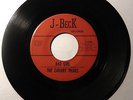 ZAKARY THAKS Bad Girl 45 RPM J-Beck 1006 RARE ORIG TEXAS GARAGE PUNK Listen mp3