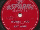 RAY AGEE —Wobble - Loo b/w Another Fool— r&b rocker 78 | Spark 119