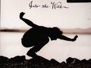 eddie vedder - into the wild (LP NEU ) 8713748980405