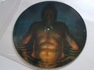 TOOL Cesaro Summabbility Aenema 1996 Promo Only 12