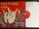 DMC back to mine Lamb (the voodoo sessions) vinyl compilation 2x 12