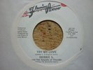 northern soul debbie s try my love flaming arrow crossover/ boogie soul