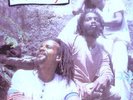 the viceroys - Brethren And Sistren vinyl LP (LP) 0658906826950