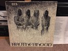DYS Brotherhood ORIGINAL LP 1983 Punk Minor Threat Youth of Today Black Flag SSD