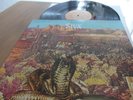 STYX The Serpent Is Rising 1973 Wooden Nickel LP OG Prog Rock Mint