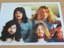 Led Zeppelin Whole Lotta Love Flexi Picture Disc Postcard Poland