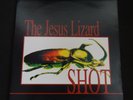 Jesus Lizard 
