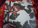 Tindersticks Curtains LP Rare OOP 1997