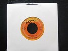 Garland Green - Girl I Love You / Rained 40 Days And Nights 7