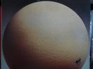 EGG The Civil Surface UK 1st Press CAROLINE 1974 LP EX