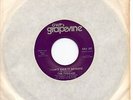 PERSIANS   I CAN'T TAKE IT ANYMORE / DETOUR    US GWP'S GRAPEVINE   NORTHERN