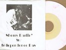 BRUCE SPRINGSTEEN - SHERRY DARLIN' - RARE 7