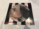 blondie parallel lines vinyl Picture Disc