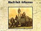 Black Oak Arkansas [180 gm vinyl] Black Oak Arkansas Vinyl