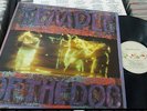 TEMPLE OF THE DOG  LP BRAZIL 1991 ORIGINAL Press = Pearl Jam Nirvana Soundgarden