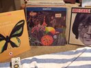 3 BEE GEES LPs 1st Idea and Rare Precious &Beautiful
