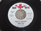 TAWNY REED - Needle in a Haystack, 1965, Motown sound, Promo